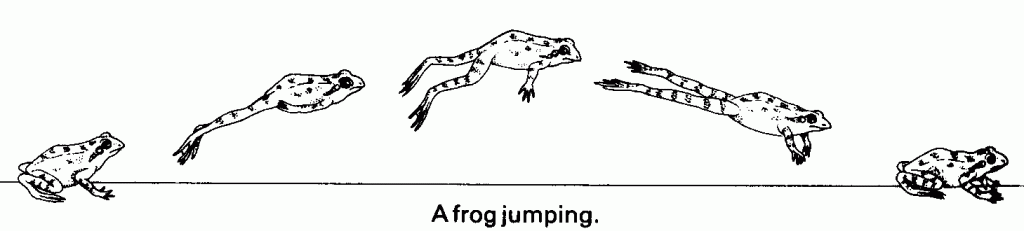 frog jump
